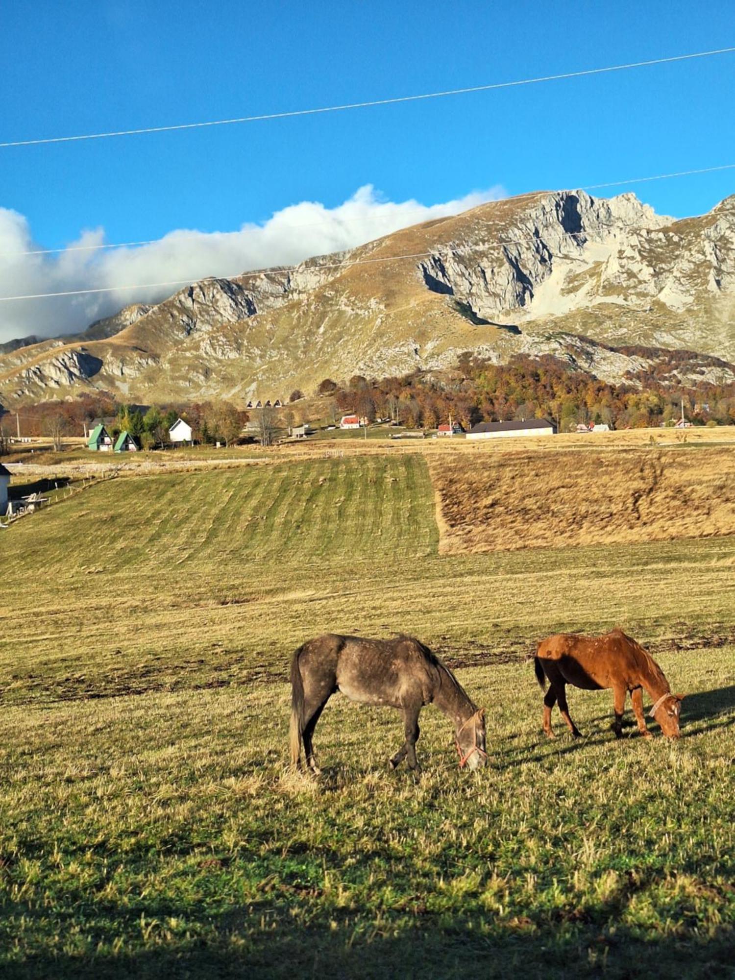 Apartman A&J Žabljak エクステリア 写真