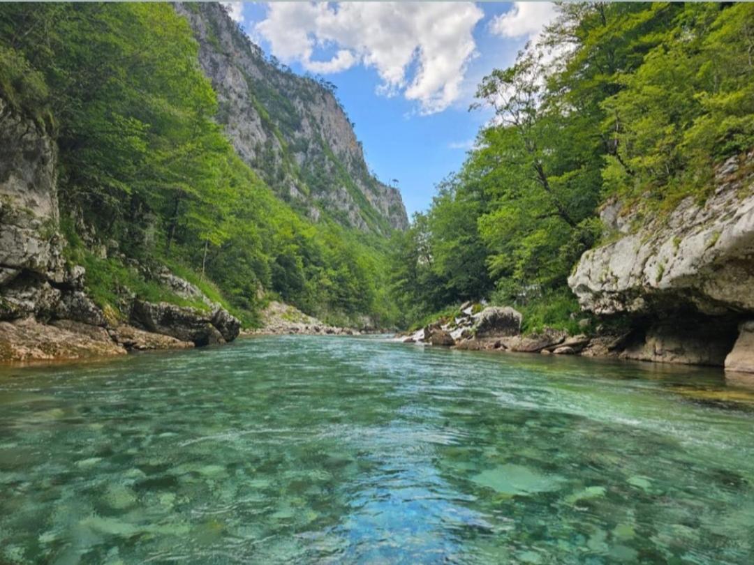 Apartman A&J Žabljak エクステリア 写真